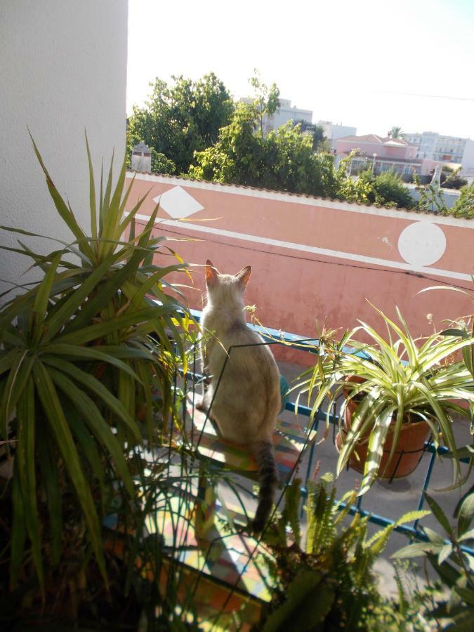 Ztir Apartment Olhão Екстериор снимка