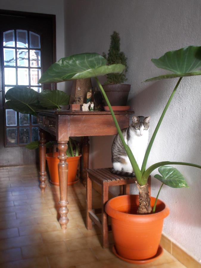 Ztir Apartment Olhão Екстериор снимка